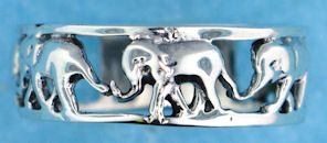 ARPAD0021 elephant ring