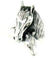 Silver Horse Rings