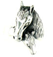 sterling silver horse ring HR658
